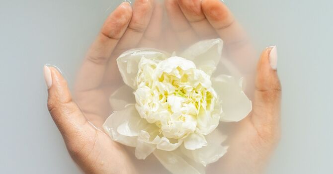 Functional Medicine
