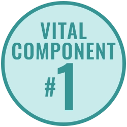 Vital Component 1