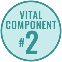 Vital Component 2