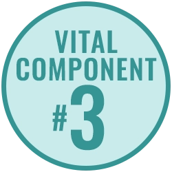 Vital Component 3