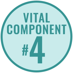 Vital Component 4